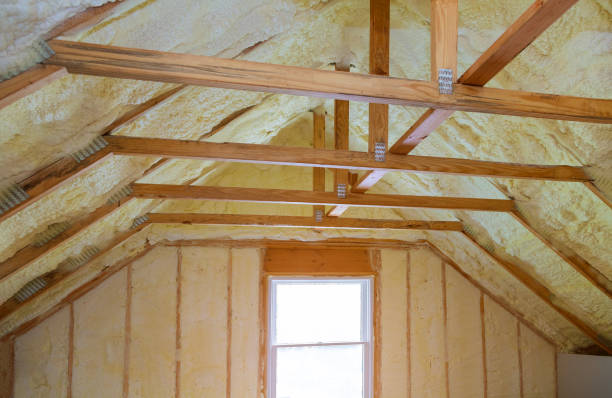 Best Insulation Maintenance and Repair in Nes, IL