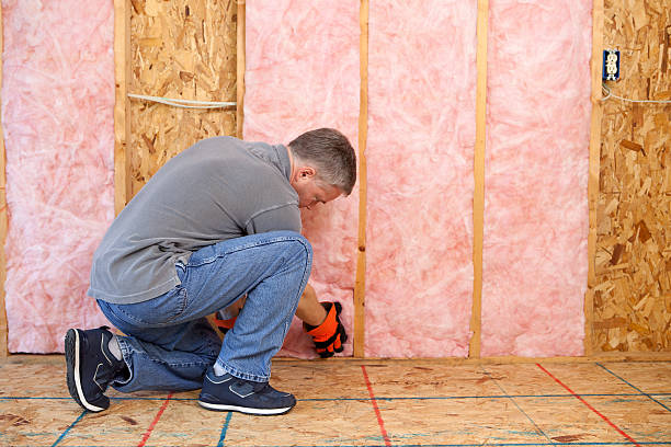 Best Insulation for Specific Applications in Nes, IL